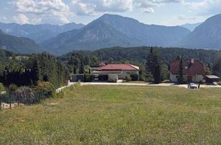 Grundstück zu kaufen in Toppelsdorf, 9161 Maria Rain, Grundstück am Waldrand - Privatverkauf