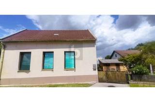 Haus kaufen in 2492 Eggendorf, Preisreduktion! ZUM WACHKÜSSEN - KOMPAKTES HAUS MIT GARTEN UND SCHUPPEN