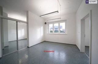 Loft kaufen in 8501 Lieboch, Außergewöhnliches Wohnkonzept in guter Lage - Wohnfläche mit 112m² - 4 Stellplätze - in 8501 Lieboch