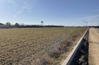 Grundstück zu kaufen in 2425 Nickelsdorf, 3000 - 10.000 m² Betriebsbaugrund zu kaufen