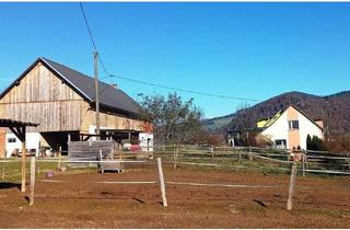 Gewerbeimmobilie kaufen in 9371 Brückl, Landwirtschaft ca. 3,3 ha, mit Hofstelle