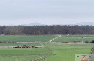 Grundstück zu kaufen in 2263 Waidendorf, Schöne Äcker in besten Lagen!