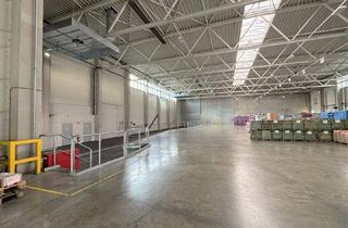 Büro zu mieten in 8041 Graz, Hochwertige Halle mit Büro in Graz-Ost