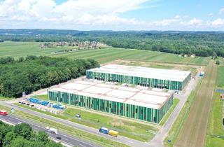 Büro zu mieten in 8435 Wagna, Neubauhallen im modernen Technologie- und Gewerbepark
