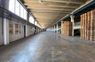 Büro zu mieten in 8424 Gabersdorf, Lagerhalle im südsteirischen Weinland