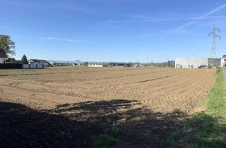 Grundstück zu kaufen in 8431 Gralla, Gewerbegrundstück in unmittelbarer Autobahnnähe in Gralla