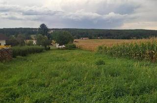 Haus kaufen in 8271 Bad Waltersdorf, Baugrundstück mit stark sanierungsbedürftigen Wohnhaus