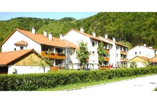 Wohnung mieten in Anzengruberstraße, 4451 Ternberg, Ternberg IV - Whg. Nr. II/1/3 + Gar. 10