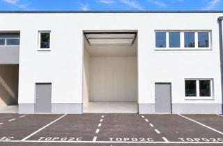 Lager mieten in 4690 Rüstorf, Dein Zuhause Präsentiert: Gewerbehalle zu Vermieten Top 2c