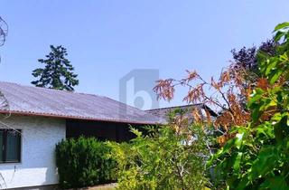 Haus kaufen in 2601 Sollenau, Bungalow in Verkehrsberuhigter Siedlung