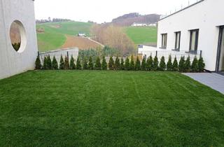Wohnung kaufen in 4221 Steyregg, Ruhige Gartenwohnung mit großer Terrasse