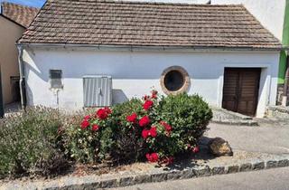 Haus kaufen in 2011 Sierndorf, Wein&Wohnen - Leben im Presshaus