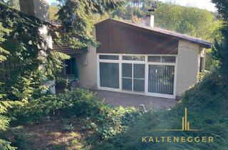 Einfamilienhaus kaufen in 2630 Buchbach, Charmantes 3-Zimmer-Haus mit Terrasse