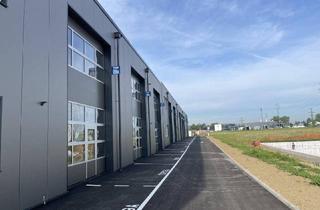 Büro zu mieten in 4844 Regau, KURZZEITMIETE MÖGLICH! Betriebs-/ Produktions- oder Lagerhalle mit ca. 119 m² Fläche im Business Park Regau , 1A-Lage, Nähe A1 Westautobahn - SOFORTBEZUG (Top 03a)