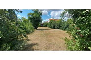 Grundstück zu kaufen in 2620 Neunkirchen, Ready to Build – Grundstück mit Extras