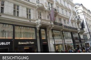 Büro zu mieten in Michaelerplatz, 1010 Wien, zwei repräsentative möblierte Büroräume für bis zu 11 Arbeitsplätze, Bürogemeinschaft