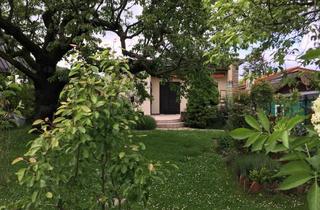 in Czartoryskigasse 110A, 1170 Wien, E N T S P A N N E N & W O H L F Ü H L E N - Wunderschöne Parzelle für Kleingartenfreunde