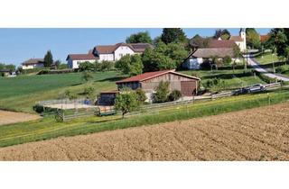 Lager kaufen in 7540 Kleinmürbisch, Reitanlage mit ca. 3,7 ha Wiesenflächen - Ein Zuhause für Ihre Pferde!