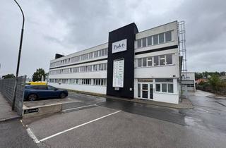 Büro zu mieten in Industriestraße B 6-8, 2345 Brunn am Gebirge, Moderne, vielseitig nutzbare Büroflächen in Brunn am Gebirge