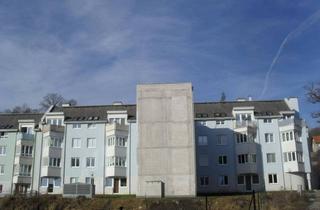 Wohnung mieten in Rauchenbergergasse, 3160 Traisen, 2-Zimmer-Wohnung, Top 9
