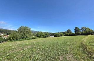 Grundstück zu kaufen in 8101 Sankt Veit, Sonnige Baugrundstücke mit Weitblick - Platz für 2 Häuser!