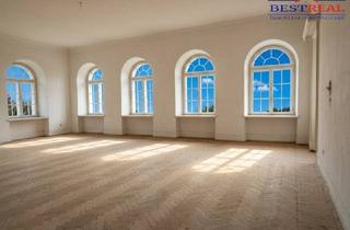 Büro zu mieten in 1020 Wien, 12 freie Wohn- Büro- Loft- Räume - Altbau - Nahe Augarten-Park U2