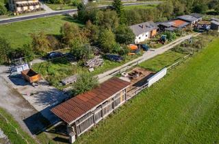 Lager kaufen in 8622 Etmißl, Widi`S Riverranch in Etmißl zu Kaufen!