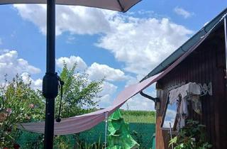 in 4060 Leonding, 760 m2 Garten