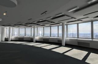 Büro zu mieten in 1200 Wien, Arbeiten mit Aussicht im Millenniumtower