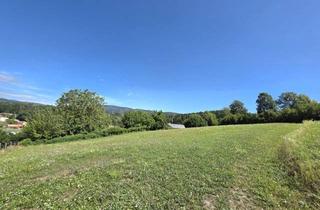 Grundstück zu kaufen in 8101 Sankt Veit, Sonnige Baugrundstücke mit Weitblick - Platz Für 2 Häuser!