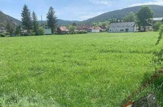Grundstück zu kaufen in 2734 Puchberg am Schneeberg, Bauträger und Investoren Aufgepasst - 12.700 m² in Puchberg am Schneeberg