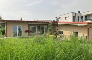 Haus kaufen in 7091 Breitenbrunn am Neusiedler See, Neubau - Erstbezug - Bungalow mit Seeblick in Breitenbrunn (Provisionsfrei)