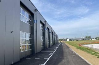 Lager mieten in 4844 Regau, Kurzzeitmiete Möglich! Betriebs-/ Produktions- oder Lagerhalle mit Ca. 119 m² Fläche im Business Park Regau , 1a-Lage, Nähe a1 Westautobahn - Sofortbezug (Top 03a)