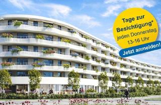 Geschäftslokal mieten in Salzerstraße 49, 3100 Sankt Pölten, St. Pölten Xxiv/1, Geschäftsräumlichkeit, Atelier 2.1, 1000/00011721/00002003
