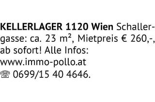 Gewerbeimmobilie mieten in Schallergasse, 1120 Wien, KELLERLAGER 1120 Wien Schallergasse: