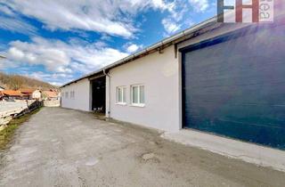 Gewerbeimmobilie mieten in 3003 Gablitz, 220m² große Lagerhalle, erweiterbar auf 360m², Raumhöhe 4m, großes elektrisches Einfahrtstor, am Ortsrand von Gablitz!