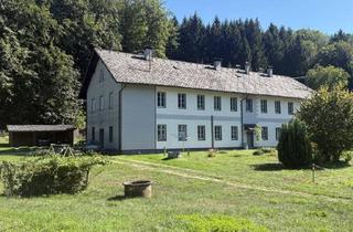 Mehrfamilienhaus kaufen in 4682 Geboltskirchen, Sanierungsbedürftiges Mehrfamilienhaus mit 8 Wohneinheiten und viel Grund