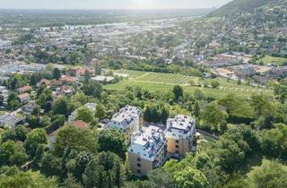 Wohnung kaufen in 3400 Klosterneuburg, Zuhause ankommen und genießen in Top - Lage