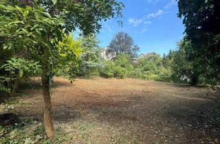 Grundstück zu kaufen in 3400 Klosterneuburg, Villengrundstück in ruhiger Zentrumslage von Klosterneuburg