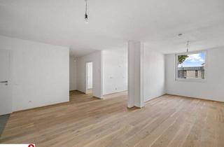 Wohnung kaufen in 2514 Traiskirchen, Faire Preise im Herzen von Traiskirchen