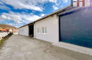Lager mieten in 3003 Gablitz, 220M² Große Lagerhalle, Erweiterbar auf 360M², Raumhöhe 4m, Großes Elektrisches Einfahrtstor, am Ortsrand von Gablitz!