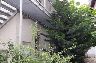 Wohnung mieten in Lederergasse 10, 3500 Krems an der Donau, Wunderschöne Studentenwohnung