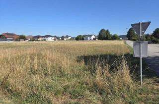 Grundstück zu kaufen in 3300 Amstetten, Sonniges Baugrundstück ohne Bauzwang – 823 m² für Ihren individuellen Wohntraum