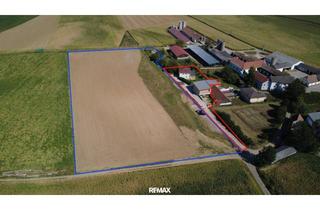 Einfamilienhaus kaufen in 3042 Würmla, Großzügiges Einfamilienhaus mit Werkstatt und ca. 2 ha Ackerfläche