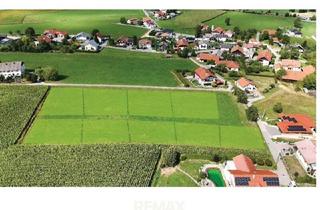 Grundstück zu kaufen in 4942 Wippenham, Hier darf Zukunft wachsen