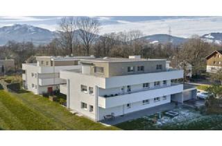 Wohnung mieten in 6841 Mäder, Ruhige Gartenwohnung mit großzügiger Terrasse (Innenhof) und Tiefgaragenplätze in Mäder