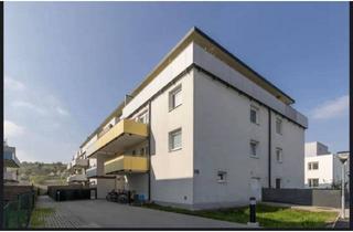 Wohnung mieten in Wienerstraße 64, 3133 Traismauer, Drei Zimmer Wohnung in Traismauer