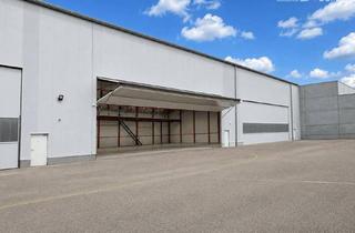 Gewerbeimmobilie kaufen in 2700 Wiener Neustadt, Exklusive Hangar- und Logistikanlage mit Bürogebäude am Flugplatz Wiener Neustadt Ost
