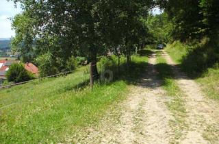 Grundstück zu kaufen in 9344 Weitensfeld, SONNIGE HANGLAGE AM WALDRAND