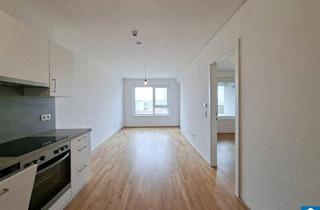 Wohnung mieten in Engerthstraße, 1020 Wien, Lichtdurchflutete 2-Zimmerwohnung mit Dach-Garten im 2. Bezirk Nähe Prater! - Blick zum Riesenrad